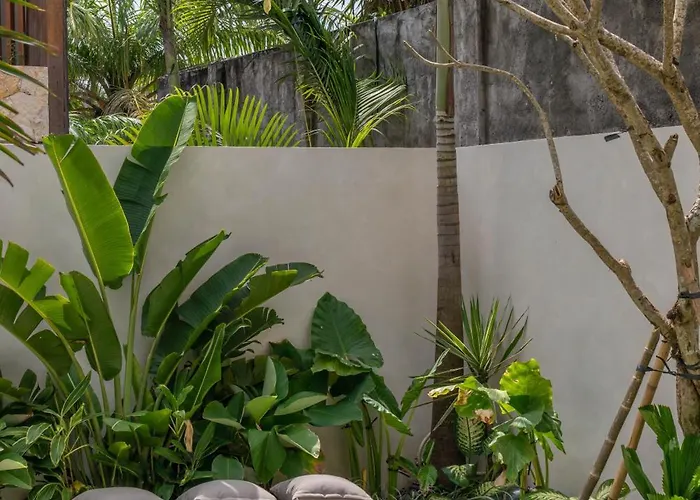 Villa Naoki - 1br Architectural Gem Next To The In Canggu